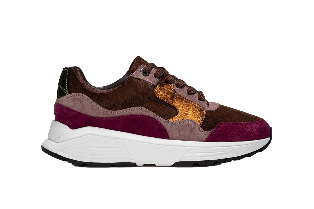 Golden Gate Lady 33000 Brown Combi 2.352