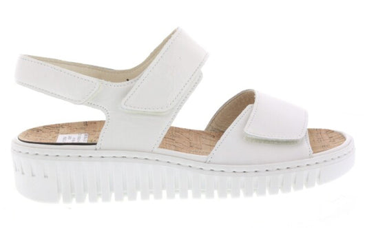 H-Willow 955001 148 Offwhite