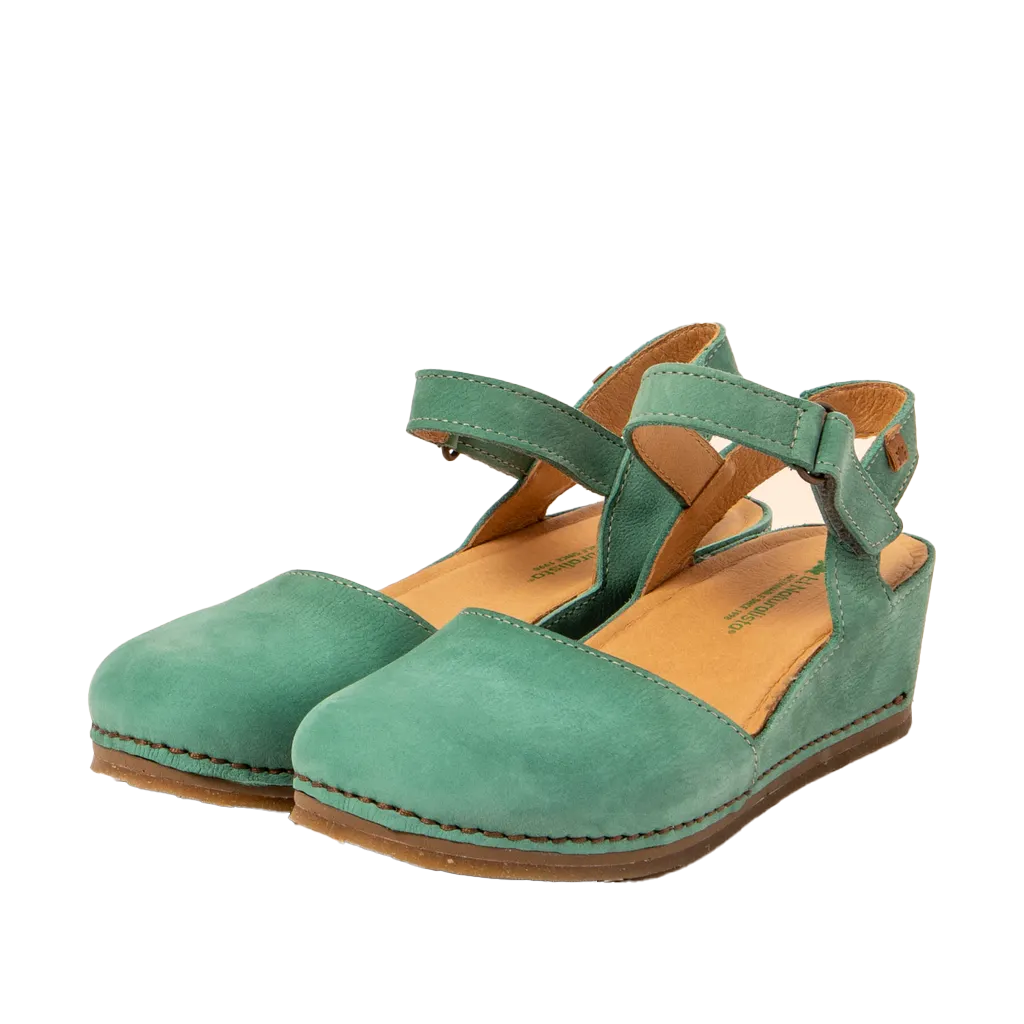 Picual 5850 Jade